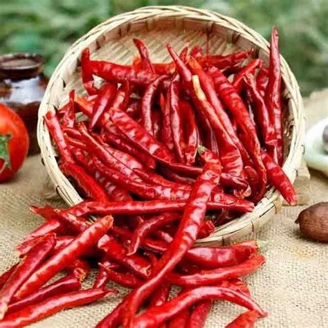 Organic Dry Red Chilli At Rs 107kg New Items In Ahmedabad Id