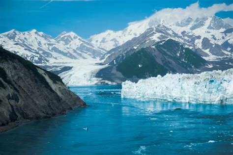Best Glaciers On An Alaska Cruise Alaskaorg