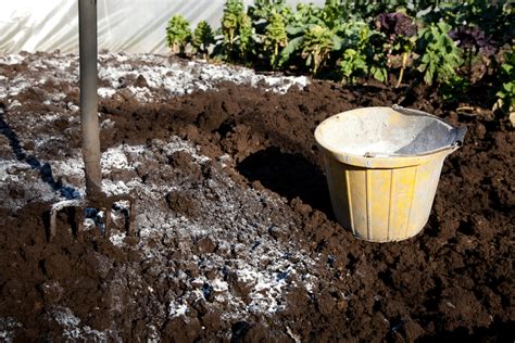 We did not find results for: Branntkalk » Definition und Anwendung als Dünger im Garten