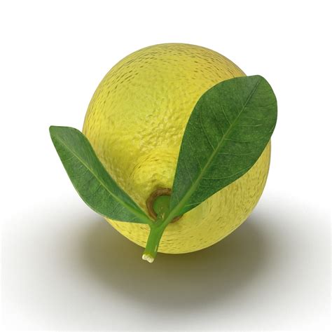 3d Lemon 2 Model