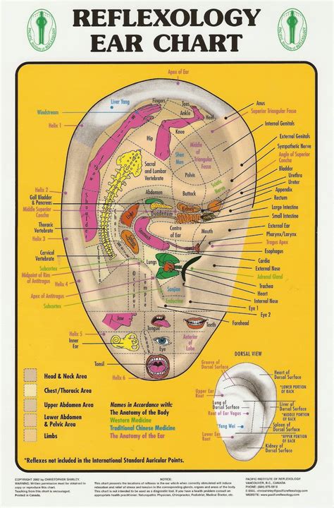 Healing Ways Reflexology Ear Chart