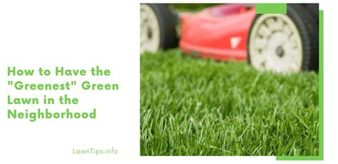 How To Have The “greenest” Green Lawn In The Neighborhood — Lawn Tips