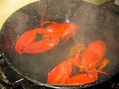How To Boil Lobster Easy Directions Boston Discovery Guide