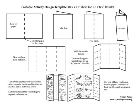 Printable Science Foldables