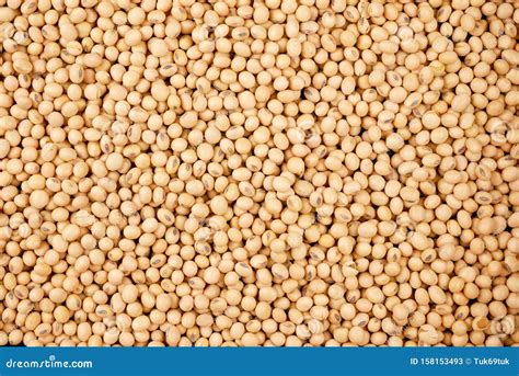 Soybean Beans Background Seeds Food Raw Materialdelicious Dishes Seed