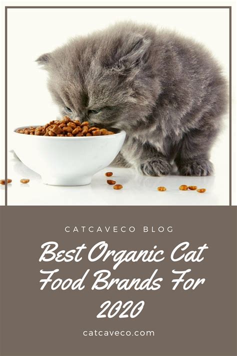 Best Organic Cat Food Brands For 2020 In 2020 Organic Cat Food Cat