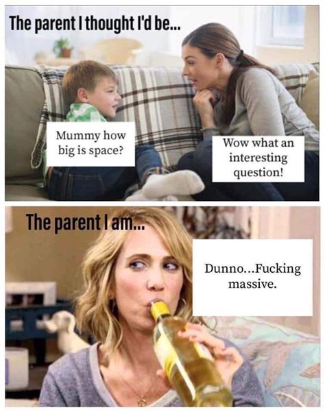 Pin By Laur N Affuso On Mom Domestic Life Funny Mom Memes Mum Memes Mom Memes