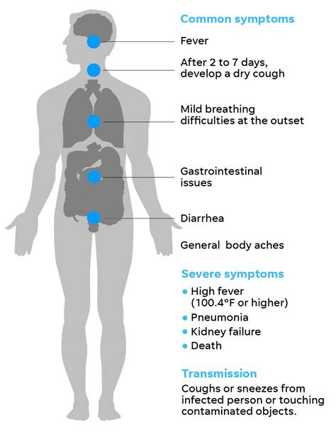 Coronavirus Symptoms To Look For When To Get Tested