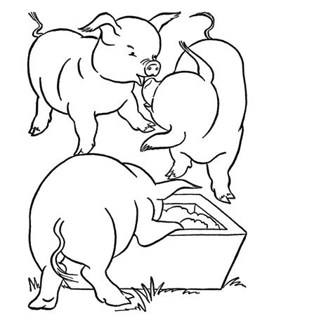 Pig Coloring Pages For Kids Images Animal Place