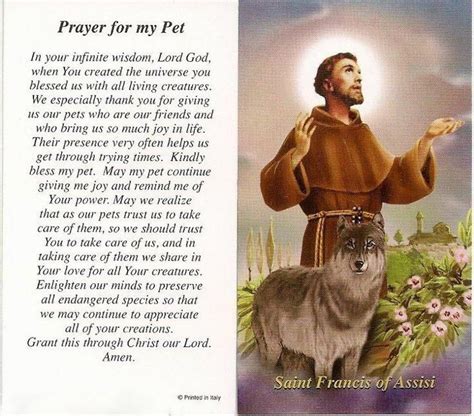 Common prayers for dogs and cats who are lost, sick, injured, or dying. St. Francis Prayer for My Pet | Saint francis prayer, Sick ...