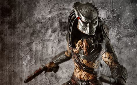 Predator Full Hd Wallpaper And Background Image 1920x1200 Id340249