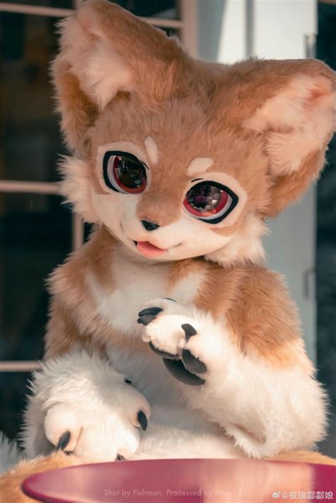 Pin By Flotaux On Enregistrements Rapides In Anime Furry Fursuit Furry Furry Art