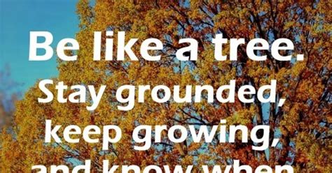 Be Like A Tree Stay Grounded Keep Growing And Know When To Let Go