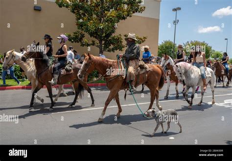 Compton Usa 7th June 2020 Horseback Riders At The Compton Cowboy
