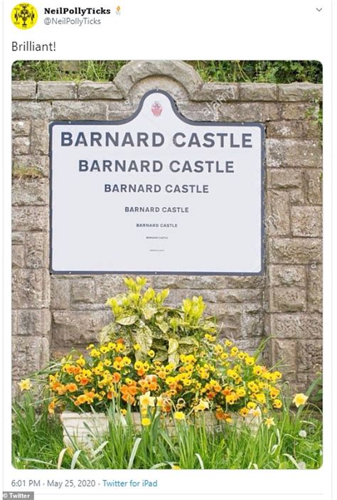 Cummings seems to have a stranglehold on a lot of the modern tory party, a lot feel they owe their since ross resigned because he does not support cummings and his actions it does rather imply. Shouldn't Have Gone to Barnard Castle | MetaFilter