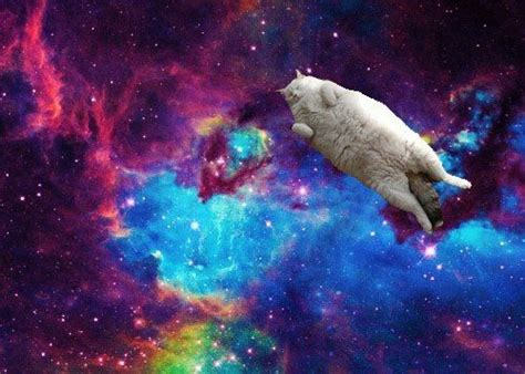 Neon Galactic Space Cat Inspiration For Cat Fashion On