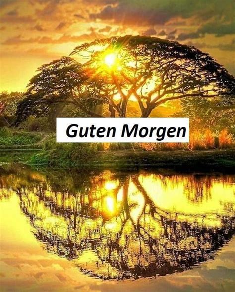 Start in die woche, wochenstart, wochengruss, gruss, grüsse, spass, montagsgruss, montag. Pin von ritachamoun auf dobre ranko in 2020 | Guten morgen gruss, Guten morgen, Guten morgen smiley