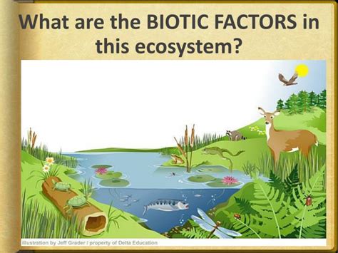 PPT Abiotic And Biotic Factors PowerPoint Presentation ID 2836247