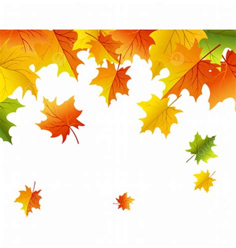Autumn Maples Falling Leaves Background Autumnal Floral Forest