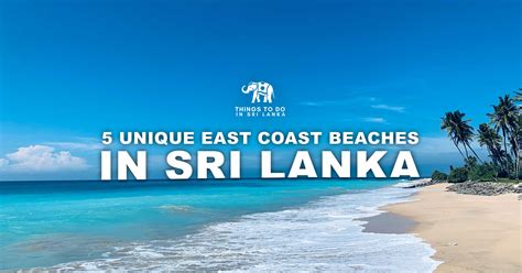 5 Unique East Coast Beaches In Sri Lanka Things To Do In Sri Lanka