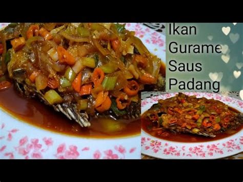 Lihat juga resep gurami tepung saos padang ala dapoer madam enak lainnya. Cara membuat ikan gurame saus Padang yg lezat - YouTube
