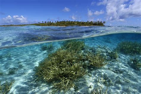 5 Ways That Climate Change Affects The Ocean