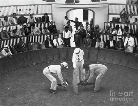 Cockfight In Puerto Rico In 1930 By Bettmann