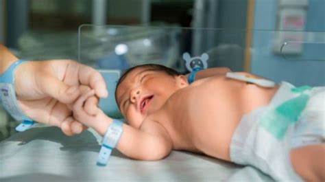 Tunjuk Id Cara Daftar BPJS Kesehatan Untuk Bayi Baru Lahir Simak Syarat Syaratnya Berikut