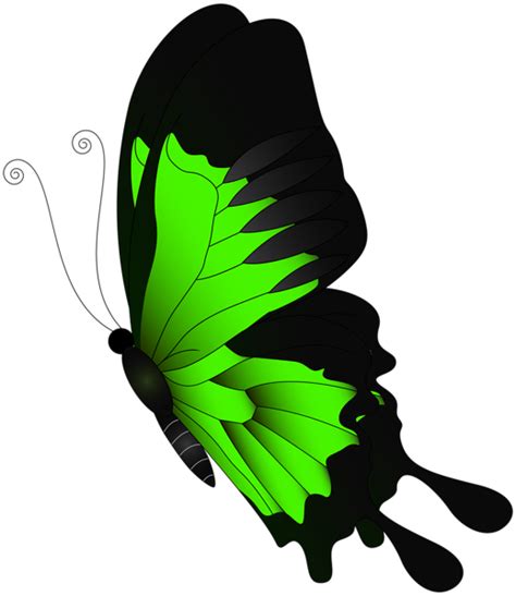 Butterfly flying above flowers animated illustration, cartoon, european flower flat, flower arranging, child. Green Flying Butterfly PNG Clip Art | Gallery Yopriceville ...