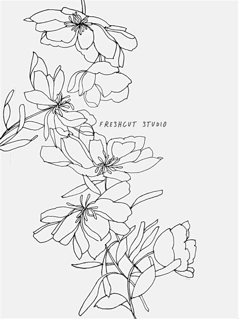 Botanical Line Drawing Botanical Artwork Floral Drawing Botanical