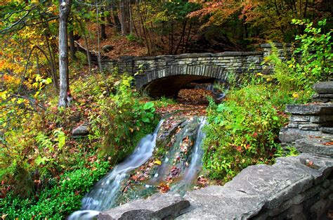 Autumn Forest Trees River Creek Bridge Nature Wallpapers Hd