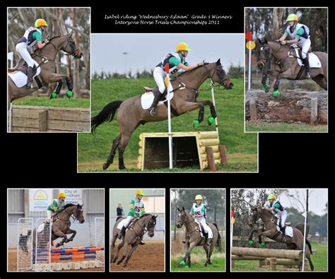 Montage Samplesequestrian Samplesequestrian Sample00079