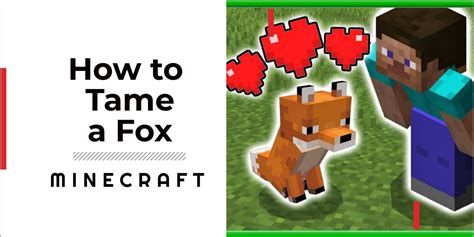 How To Tame A Fox In Minecraft And Get It To Follow You Gamegrinds
