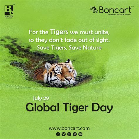 Global Tiger Day Fade Out Save Nature National Days