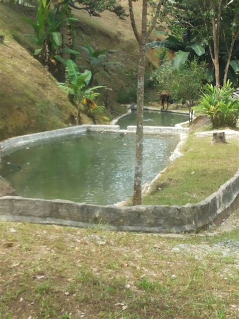 Hulu langat adalah salah satu daerah yang terdapat di wilayah selangor, malaysia. Dusun Buah Hulu Langat - Ejen Hartanah | Tanah Untuk ...