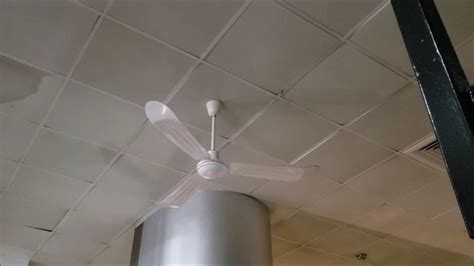 Canarm ceiling industrial fans and residential ceiling fans are great examples of how modern, sleek and elegant fans have become, bringing a true if you have a large room with high vaulted ceilings, you should consider a canarm industrial ceiling fan. Canarm CP56 Industrial Ceiling Fans - YouTube