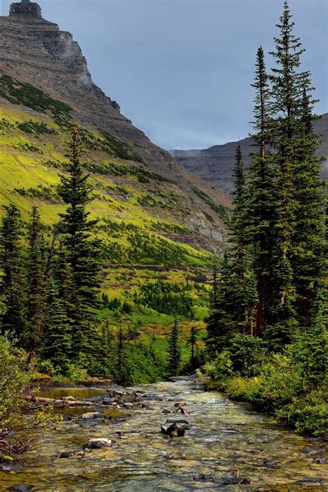 Glacier National Park Trees Mountains Stream Usa 1242x2688 Iphone