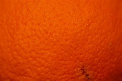 Orange Peel Fruit Free Photo On Pixabay Pixabay