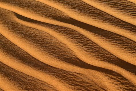 Africa Algeria Sahara Ripple Marks Texture On A Sanddune Stock Photo