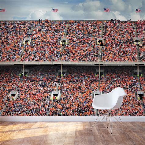 Removable Orange Football Stadium Wall Mural Wallums