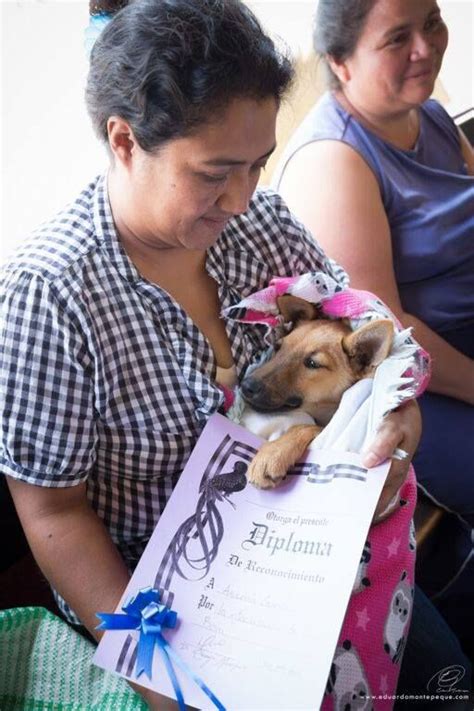 Standiford veterinary center as an american animal hospital association (aaha) accredited clinic since 1972, our team of veterinarians and support staff adheres to the highest standards of facility and pet care. Pin by Antigua Street Dogs - Guatemal on ASD CLINICS ...