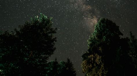 Download Wallpaper 2048x1152 Milky Way Starry Sky Night Trees
