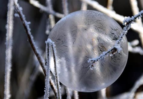 Free Picture Nature Branch Ice Reflection Winter Snowflake Sphere