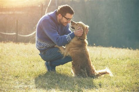 Why The Bond Between Humans And Dogs Are Similar To Parent And Child Cuteness