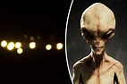 Alien proof: Bloke captures 'UFO with three visible aliens' stalking ...