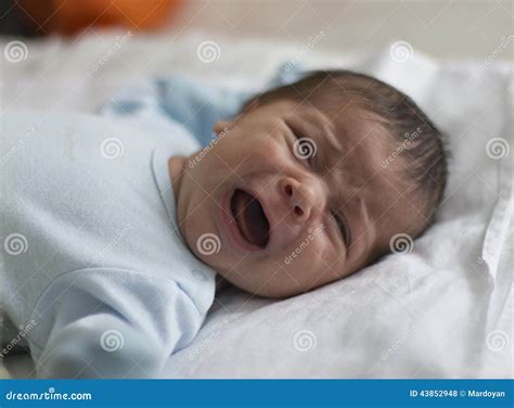 Crying Newborn Boy Stock Photo Image Of Caucasian Young 43852948