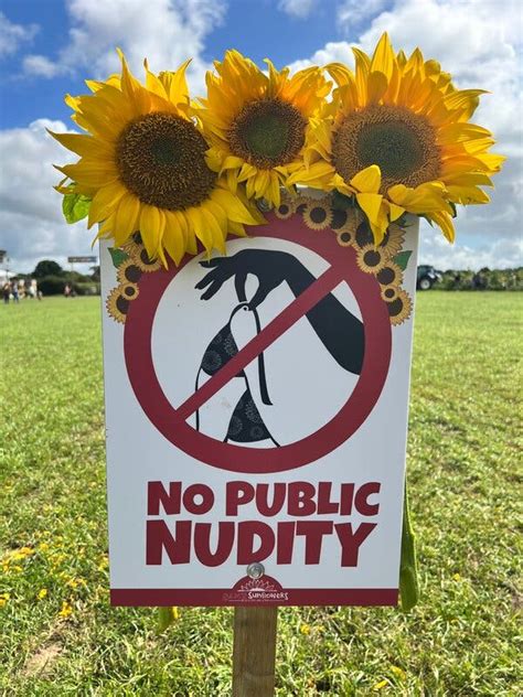 Sunflower Farm Warns Guests ‘keep Your Clothes On The New York Times