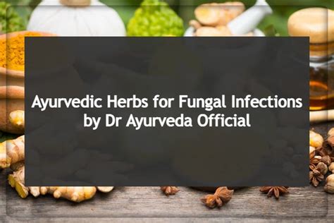 Dr Ayurveda Official Ayurvedic Herbs For Fungal Infections