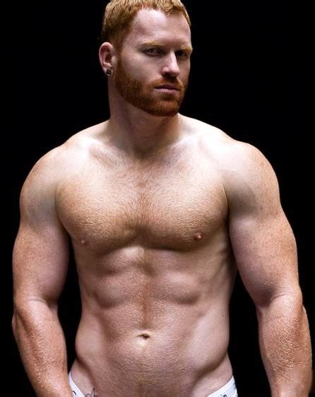 Woof More Of The Majestic Ginger Seth Fornea