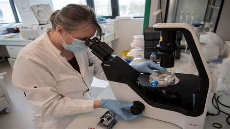Israeli Researchers Develop Rna Based Drug To Destroy Cancer